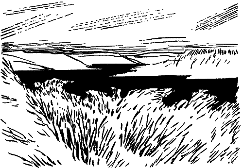 Товарищи (сборник) - i_004.png