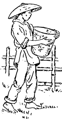 Дети великого океана - i_004.png