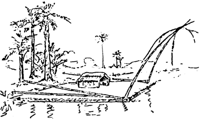 Дети великого океана - i_007.png