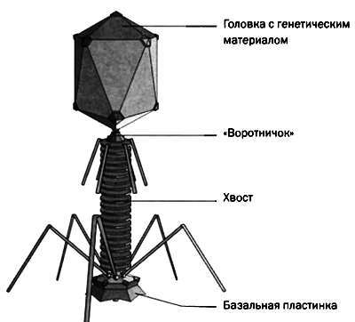  Разум, машины и математика. Искусственный интеллект и его задачи - _69.jpg