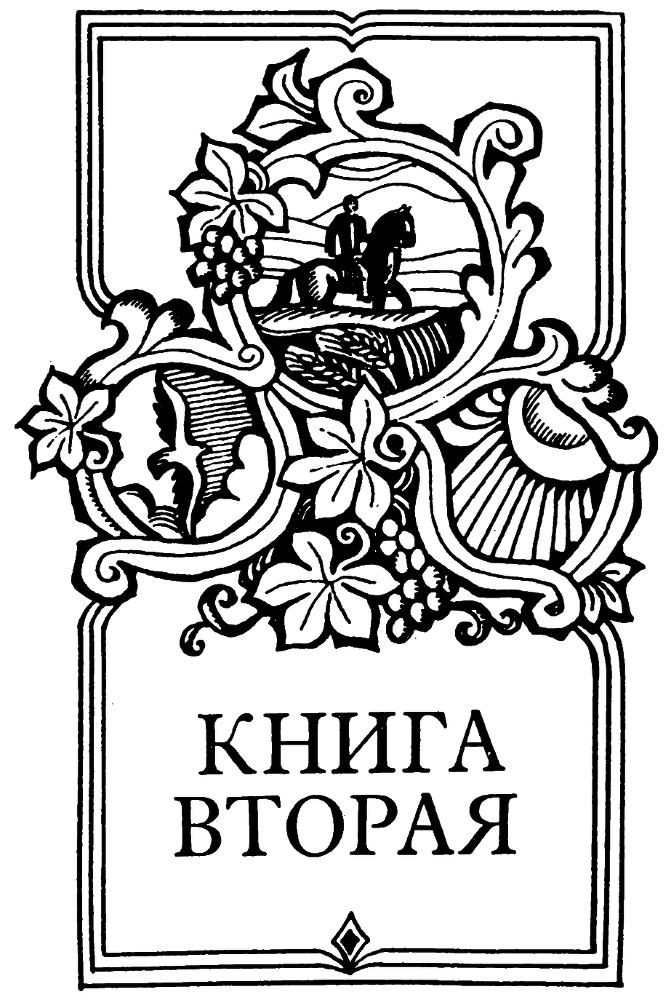 Кабахи - i_018.png