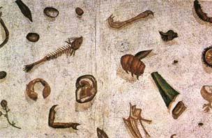 Домашний музей - i_070.jpg