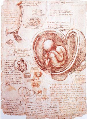 Домашний музей - i_153.jpg