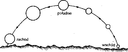 Proxima - _9.jpg