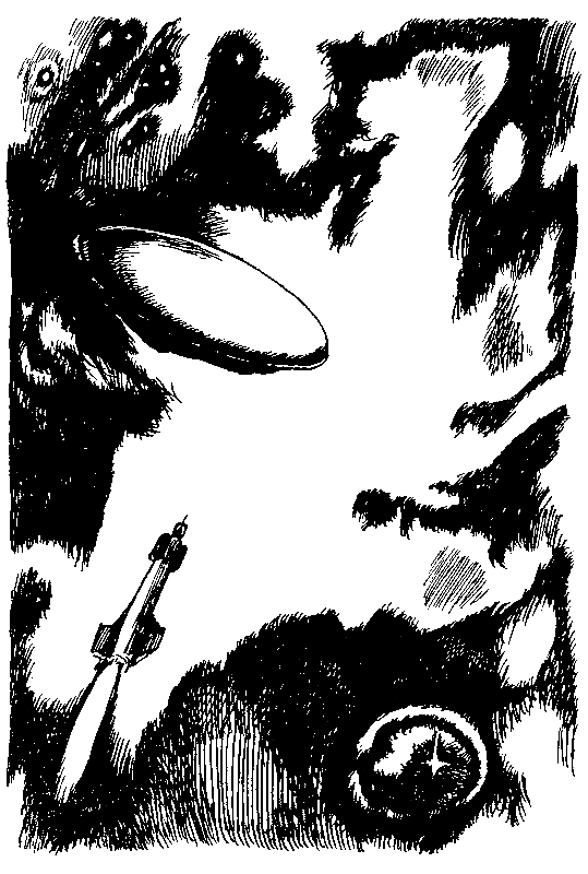 ЧАО — победитель волшебников (сборник) - pic_49.png