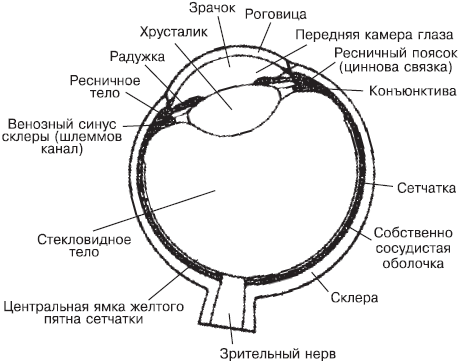 Сними очки за 10 занятий - _01.png