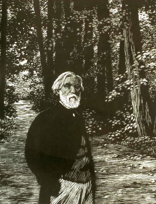 Записки охотника. Накануне. Отцы и дети - i_002.jpg