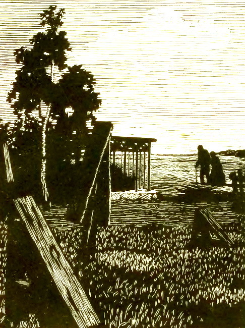 Записки охотника. Накануне. Отцы и дети - i_016.jpg