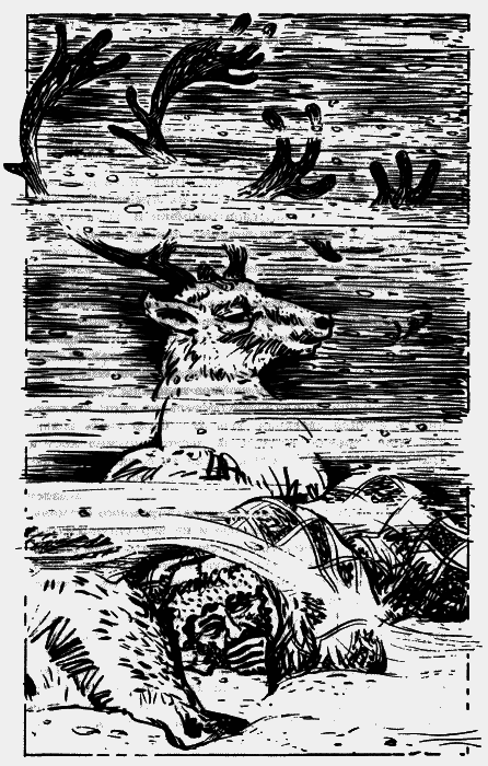 Последняя охота Серой Рыси - p0029.png