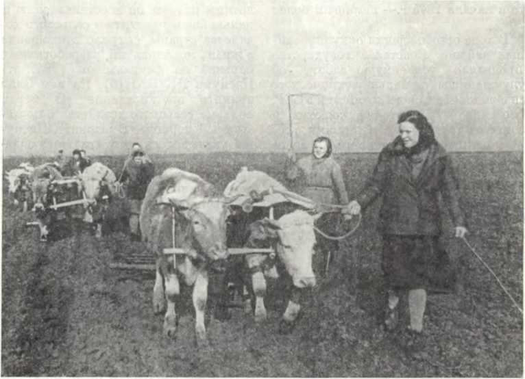 История Украинской ССР в десяти томах. Том девятый - img_13.jpg