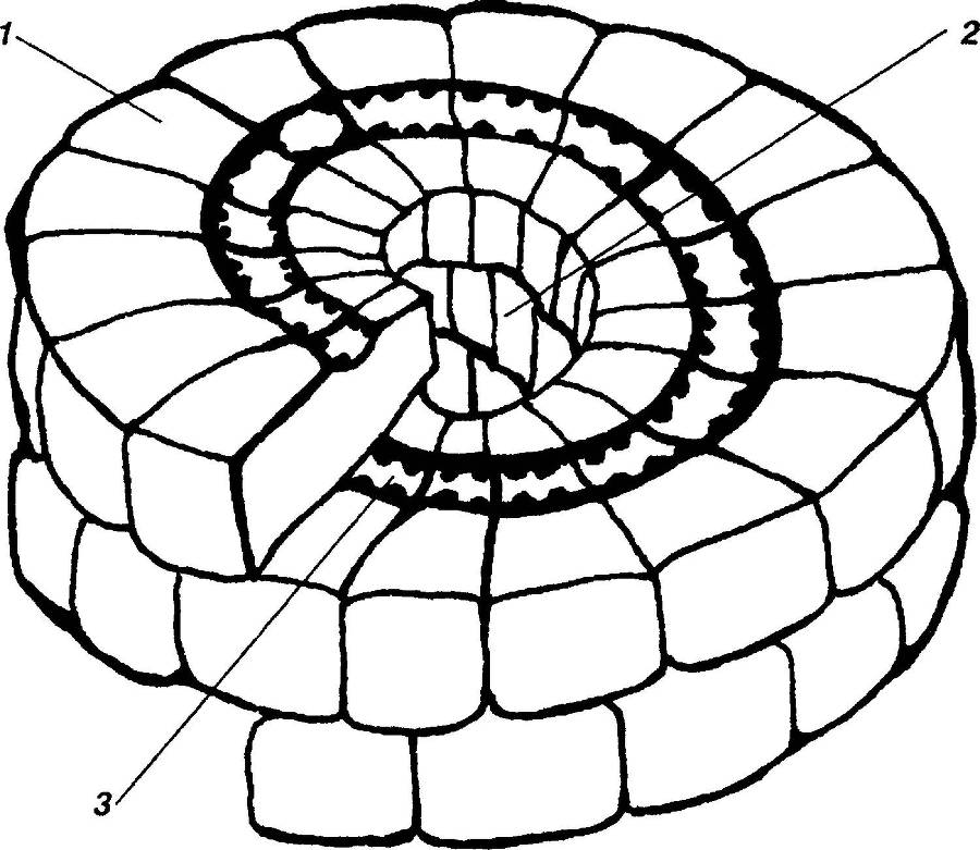 Я познаю мир. Вирусы и болезни - _63.jpg