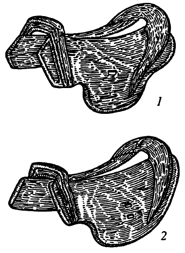 Золотая волчья голова на боевых знаменах. Оружие и войны древних тюрок в степях Евразии - i_024.png