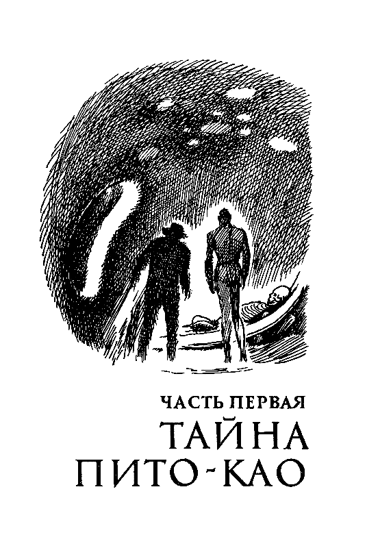 Гаяна (Художник П. Садков) - pic_4.png