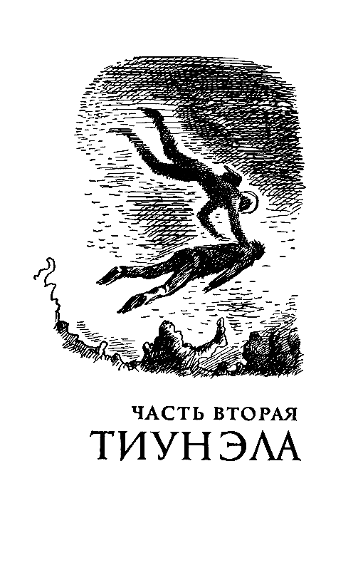 Гаяна (Художник П. Садков) - pic_6.png