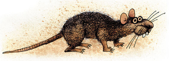 Меня называют Капуцином - i_067.jpg