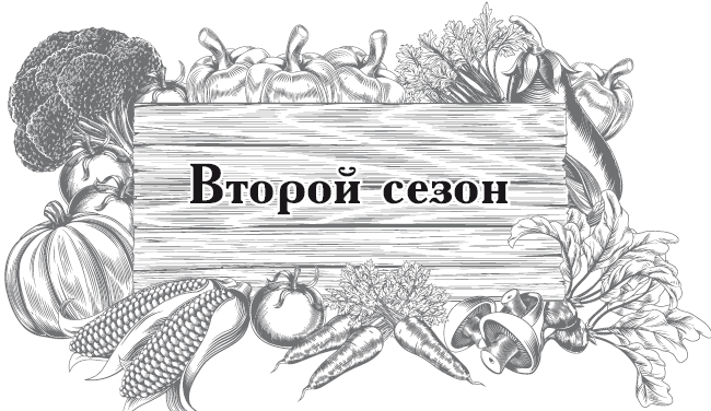 Большой урожай на маленьких грядках. Все секреты повышения урожайности - i_006.png