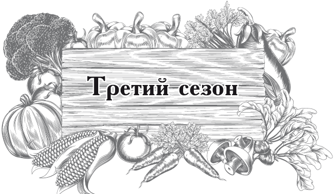 Большой урожай на маленьких грядках. Все секреты повышения урожайности - i_009.png