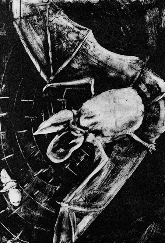 Слепой часовщик. Как эволюция доказывает отсутствие замысла во Вселенной - _052.jpg