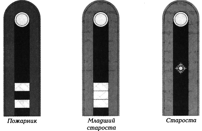 Литовские полицейские батальоны. 1941-1945 гг. - i_081.png