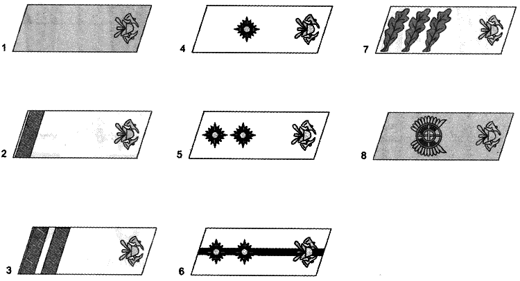 Литовские полицейские батальоны. 1941-1945 гг. - i_084.png