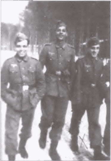 Французский легион на службе Гитлеру. 1941-1944 гг. - i_045.jpg