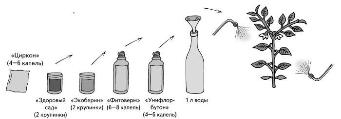 Иллюстрированная энциклопедия огородника для новичков - i_013.jpg