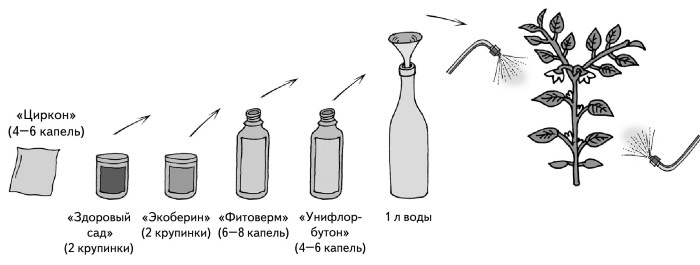 Иллюстрированная энциклопедия огородника для новичков - i_024.jpg