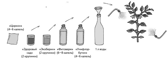 Иллюстрированная энциклопедия огородника для новичков - i_034.jpg