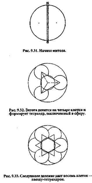 В этой книге нет ни слова правды, но именно так всё и происходит - doc2fb_image_03000017.png