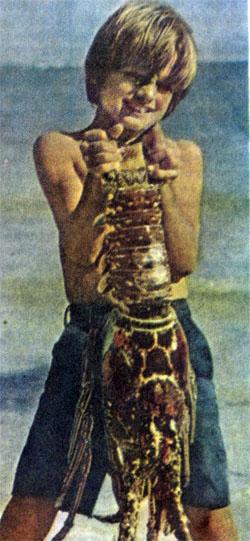 Журнал «Вокруг Света» №11 за 1976 год - tag_img_cmn_2007_09_04_021_jpg129441.jpeg