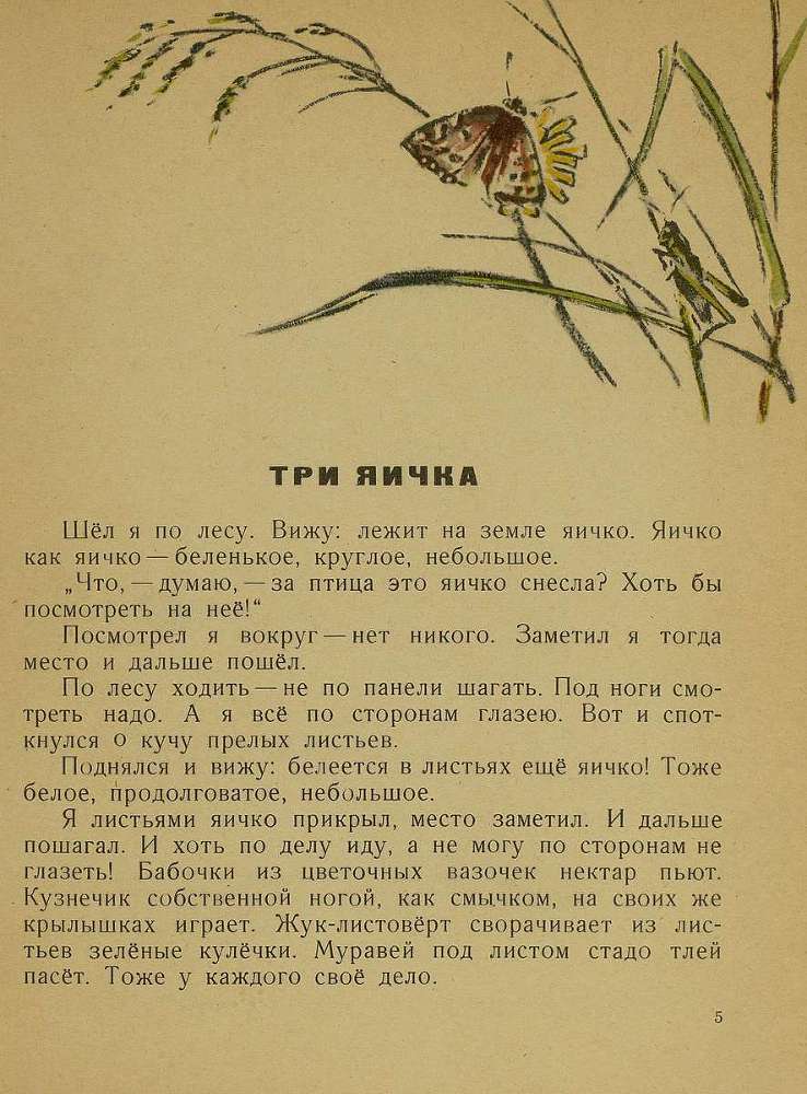 Тук - тук - _6.jpg