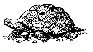 Пленники Барсова ущелья (илл. А. Лурье) 1956г. - pic_40.png