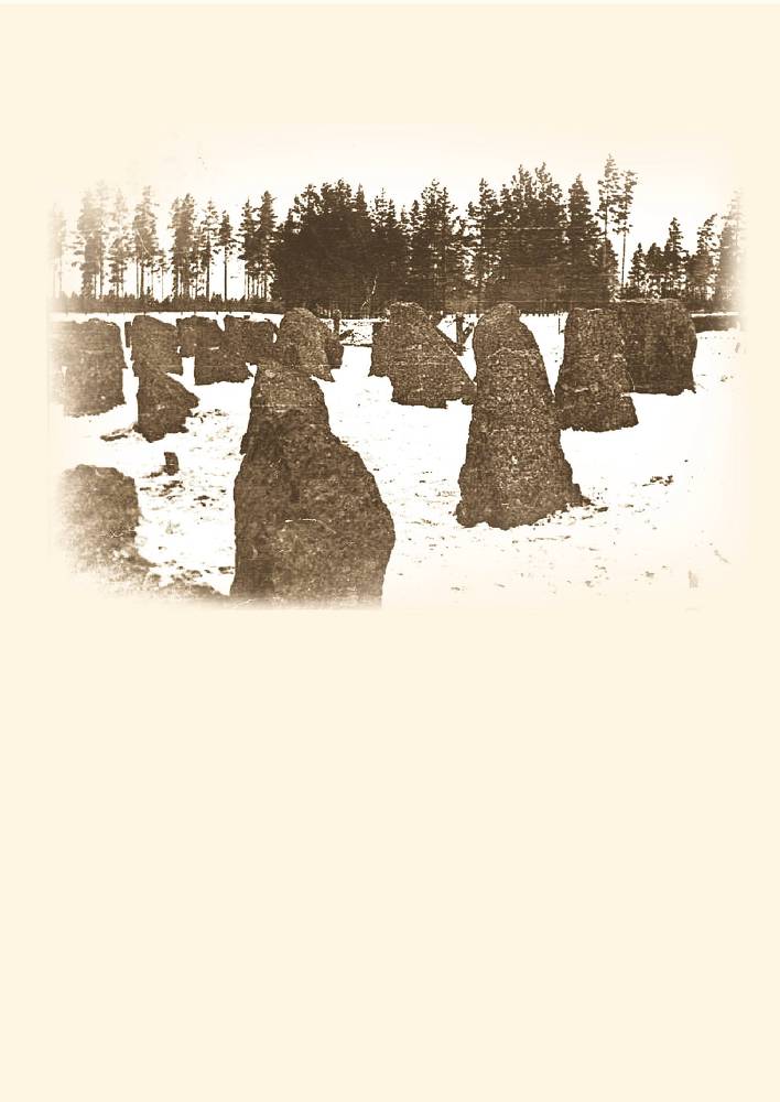 Сибирские дивизии. Люди из Сибири, засекреченный подвиг: Люди из Сибири против сверхлюдей из Германии - _74.jpg