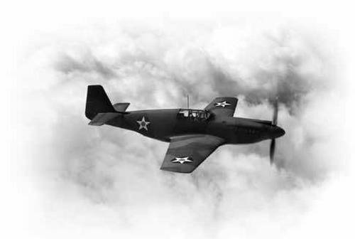 Военная авиация Второй мировой войны - i_003.jpg