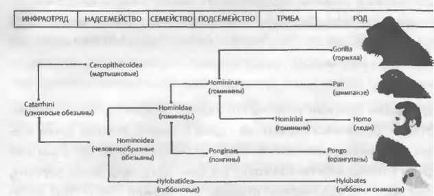 Хозяева Земли - _15.jpg