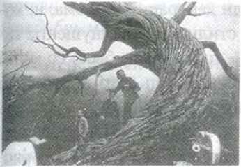 Тим Бёртон. Интервью: Беседы с Марком Солсбери - i_096.jpg