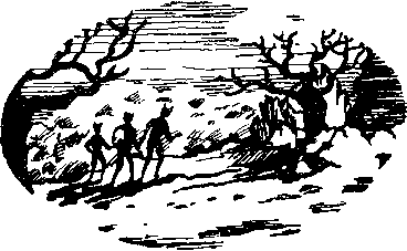 Янус (сборник) - img_1.png