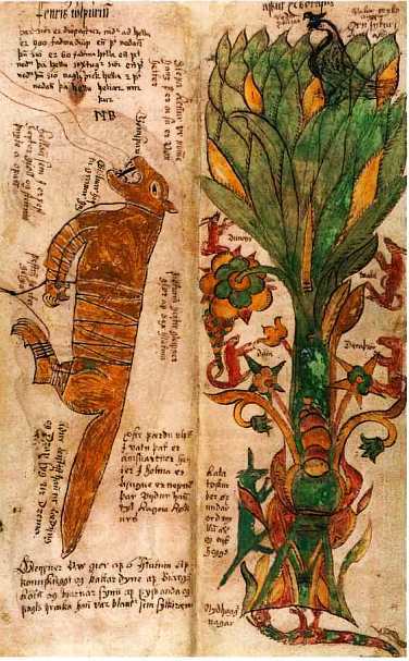 В царстве мифов - i_376.jpg