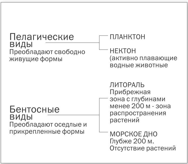 Учебник подводной охоты на задержке дыхания - i_067.jpg