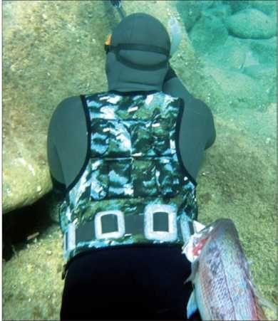 Учебник подводной охоты на задержке дыхания - i_109.jpg