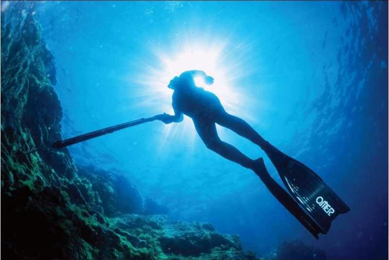 Учебник подводной охоты на задержке дыхания - i_134.jpg