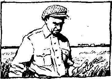 Земные наши заботы - _10.jpg