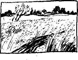 Земные наши заботы - _6.jpg