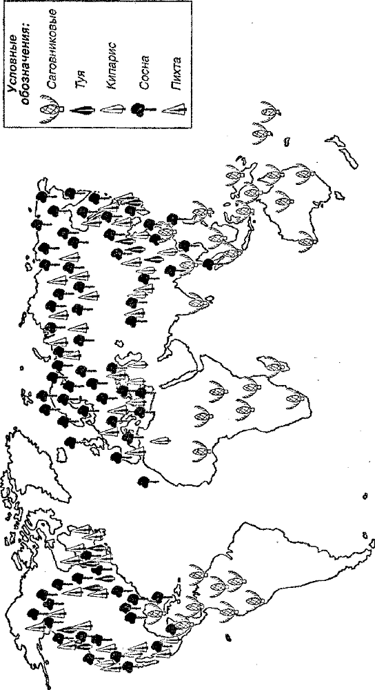 Я познаю мир. Ботаника - image145.png