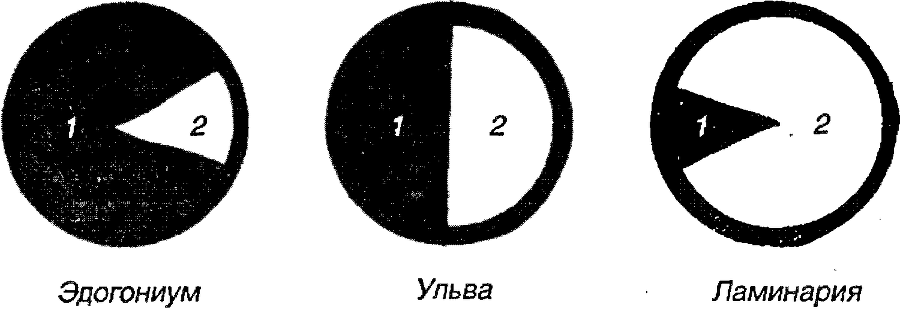 Я познаю мир. Ботаника - image182.png