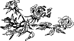 Стихотворения и баллады - i_006.jpg