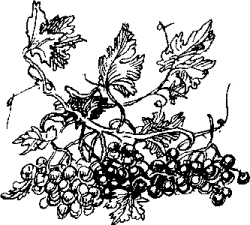 Стихотворения и баллады - i_015.jpg