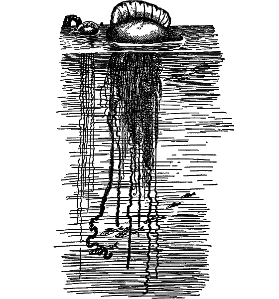 Жизнь моря - i_044.png