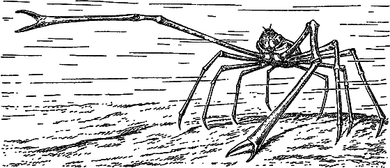 Жизнь моря - i_049.png