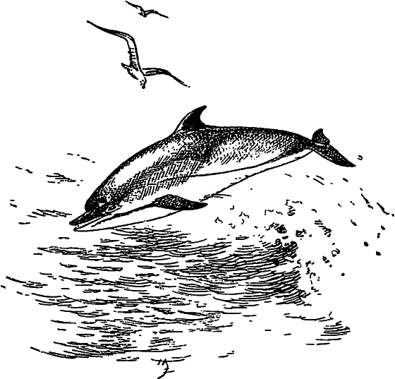 Жизнь моря - i_087.png